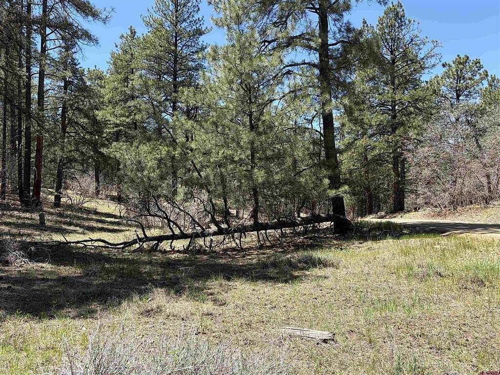 1 Acre of Residential Land for Sale in Pagosa Springs, Colorado