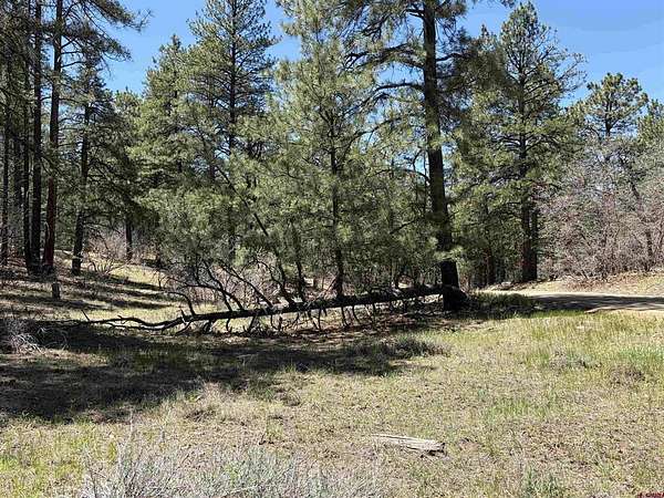 1 Acre of Land for Sale in Pagosa Springs, Colorado