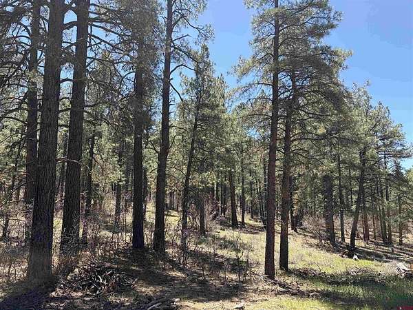 1 Acre of Residential Land for Sale in Pagosa Springs, Colorado