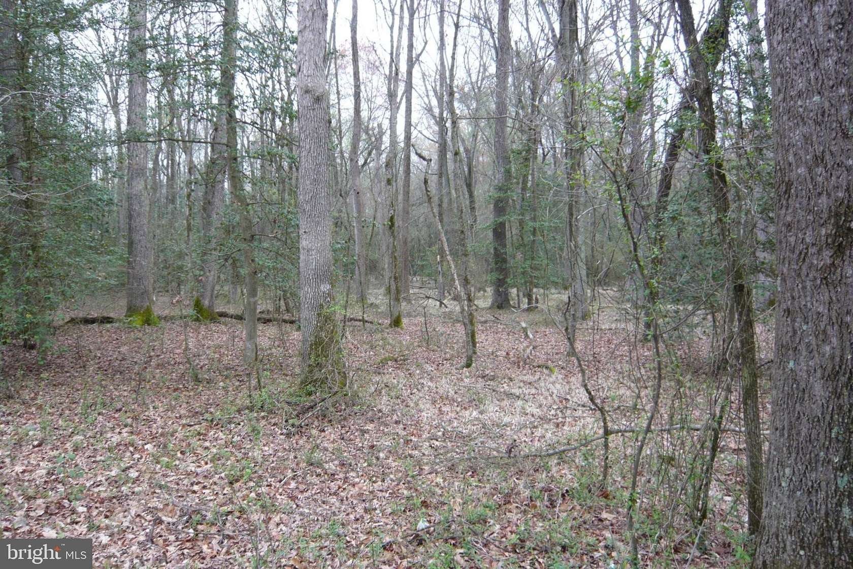 14.7 Acres of Land for Sale in Henderson, Maryland