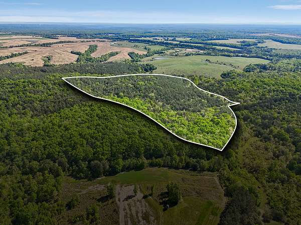 31 Acres of Recreational & Residential Land for Sale in Spencer, Tennessee