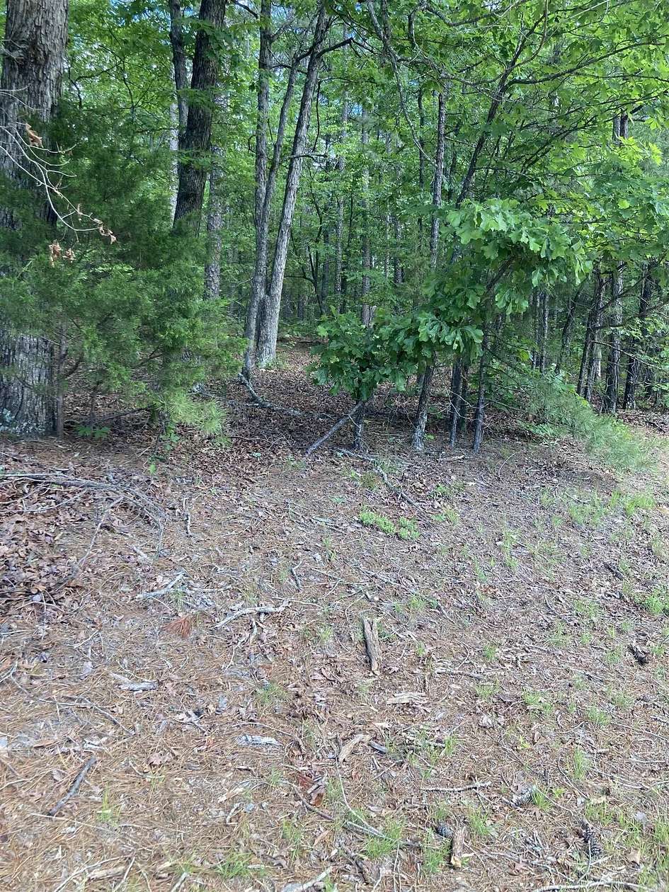 1.33 Acres of Mixed-Use Land for Sale in Fairfield Bay, Arkansas