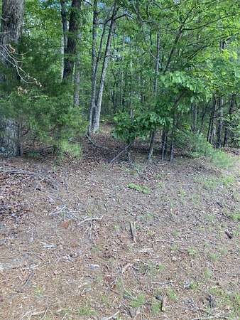 1.33 Acres of Mixed-Use Land for Sale in Fairfield Bay, Arkansas