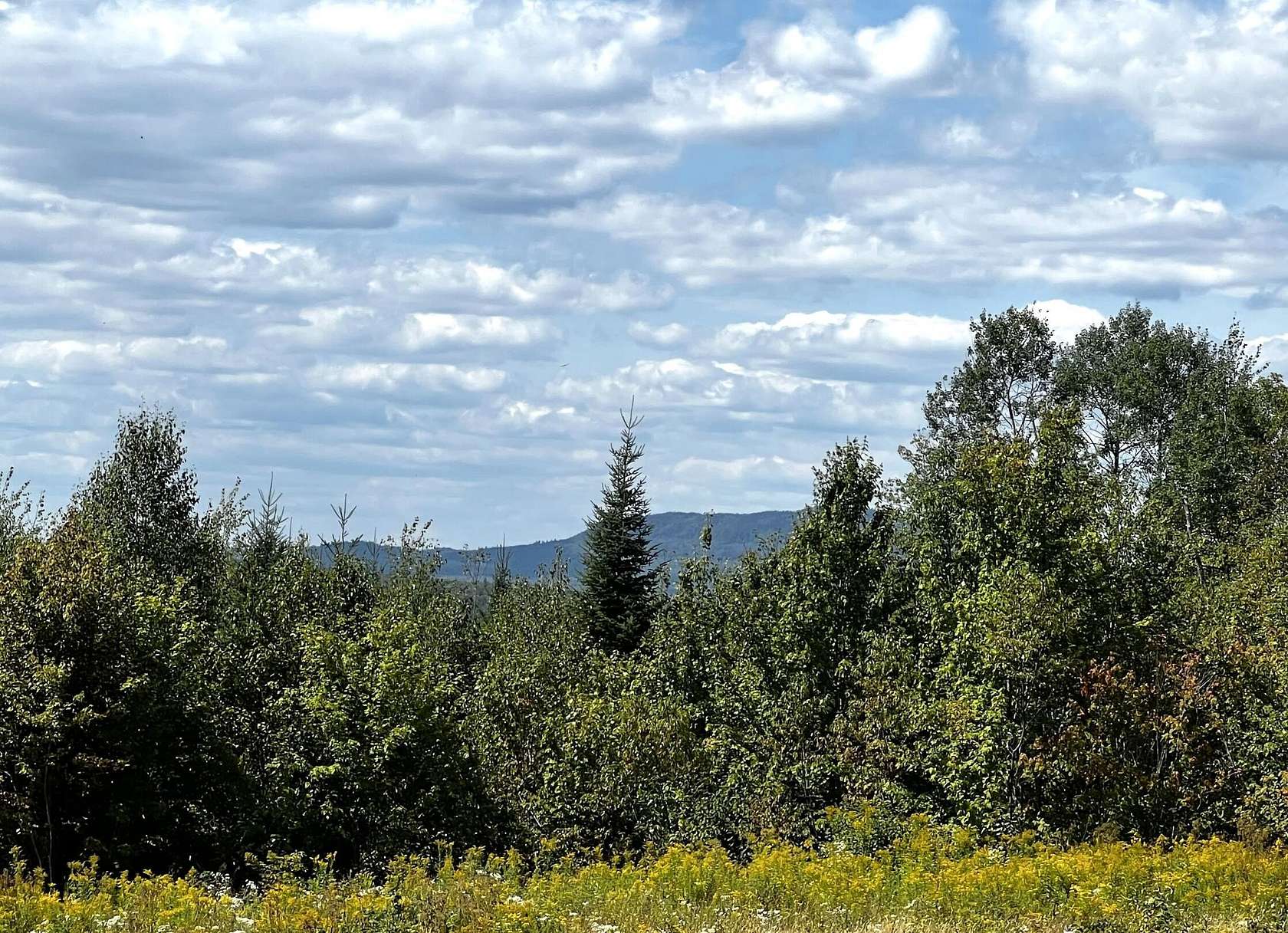 12 Acres of Recreational & Residential Land for Sale in Greenville, Maine