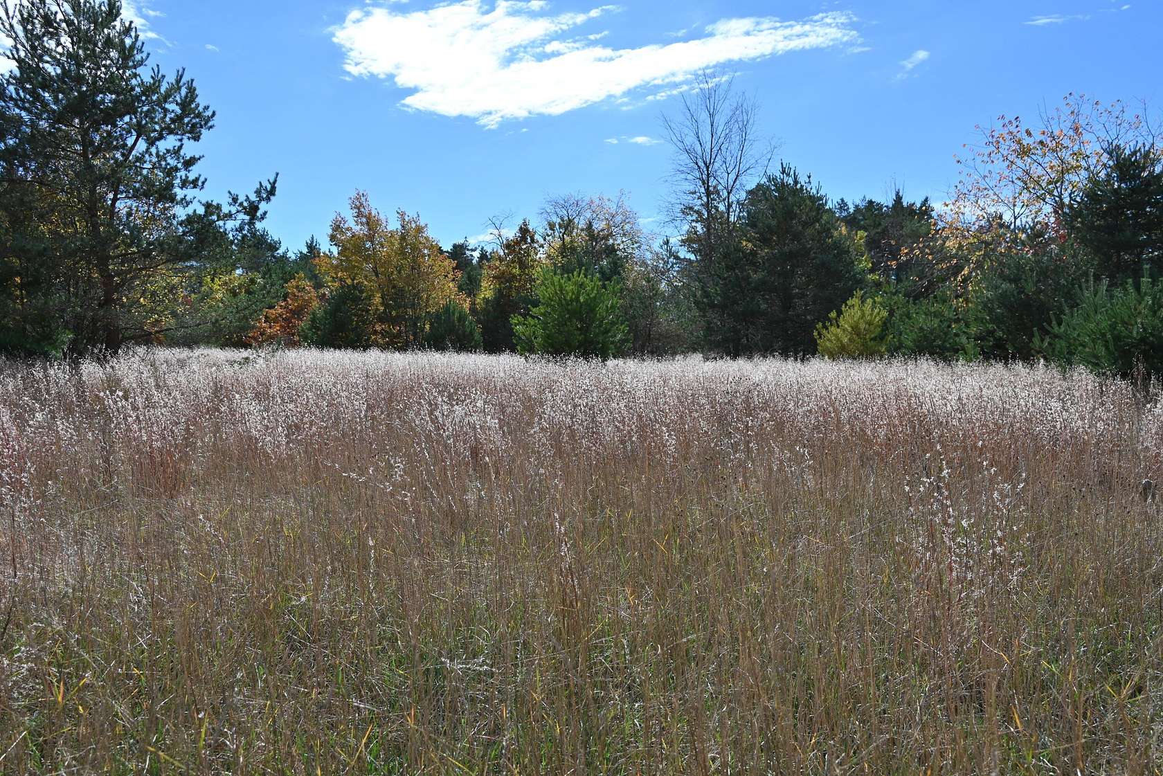 10 Acres of Recreational & Residential Land for Sale in Kalkaska, Michigan