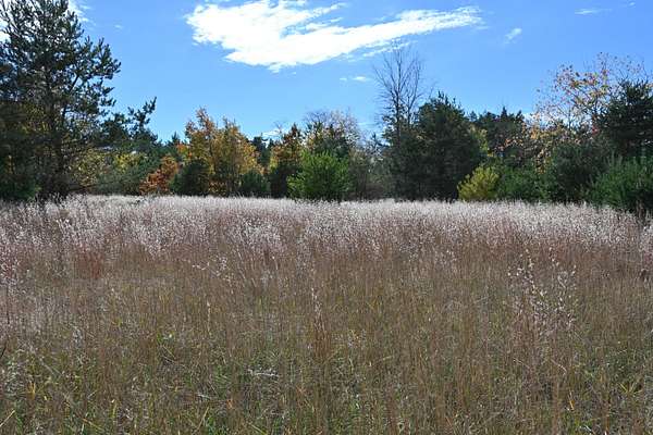 10 Acres of Recreational & Residential Land for Sale in Kalkaska, Michigan
