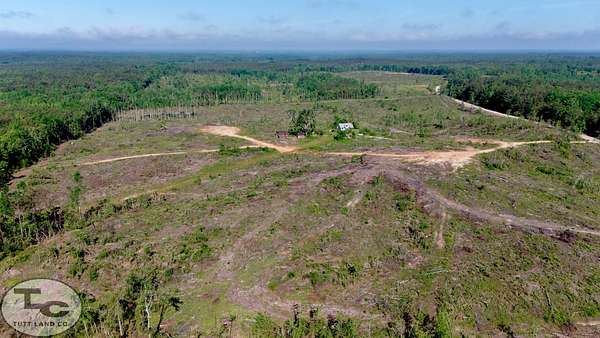 143 Acres of Land for Sale in Rienzi, Mississippi
