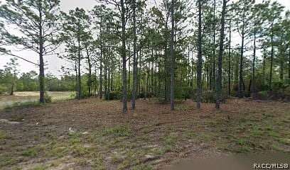 0.28 Acres of Residential Land for Sale in Dunnellon, Florida