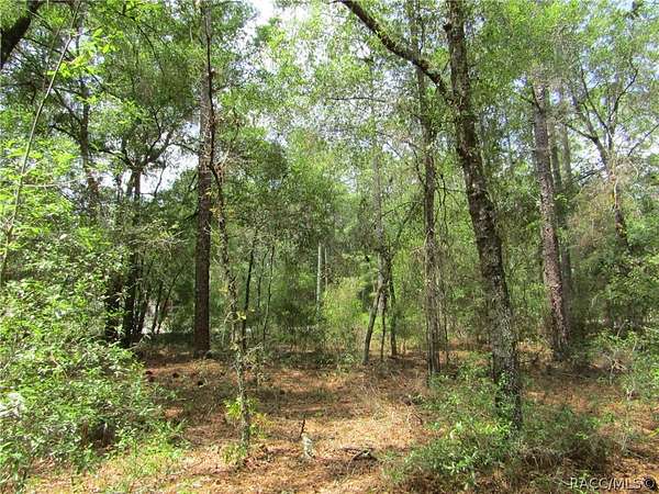 0.33 Acres of Residential Land for Sale in Citrus Springs, Florida