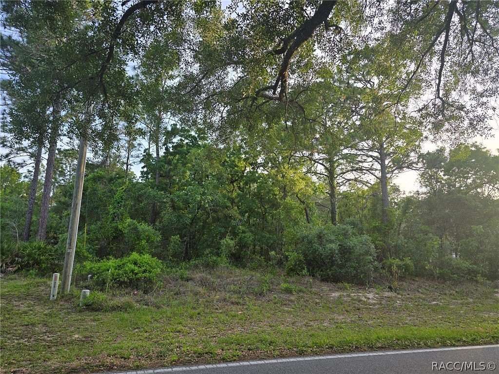 0.34 Acres of Residential Land for Sale in Homosassa, Florida