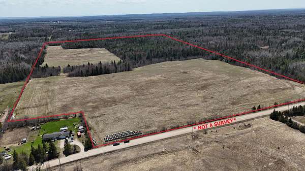 77 Acres of Recreational Land for Sale in Cheboygan, Michigan