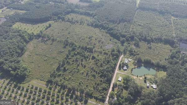 34.7 Acres of Land for Sale in Fitzgerald, Georgia