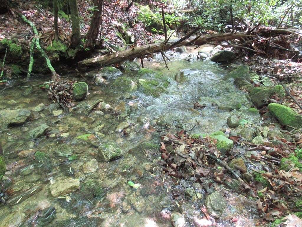 2 Acres of Residential Land for Sale in Otto, North Carolina