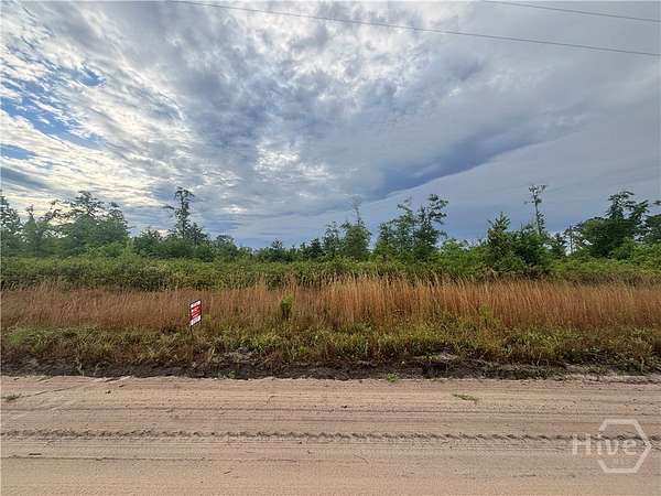 4 Acres of Residential Land for Sale in Claxton, Georgia