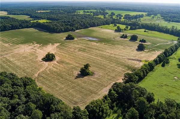 80 Acres of Agricultural & Residential Land for Sale in Wilmer, Alabama