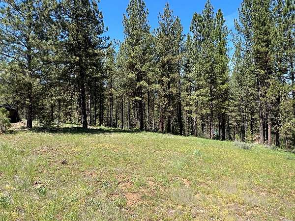 0.66 Acres of Land for Sale in New Meadows, Idaho