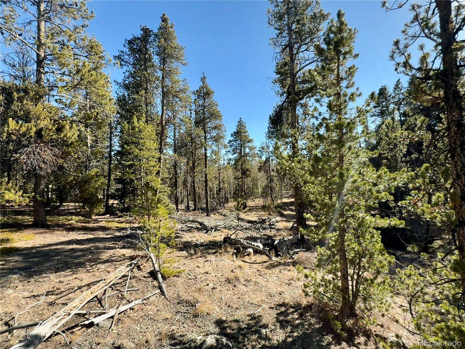 1.1 Acres of Residential Land for Sale in Fairplay, Colorado