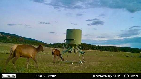257 Acres of Recreational Land for Sale in Regina, New Mexico