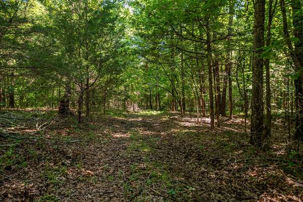201 Acres of Recreational & Residential Land for Auction in Conway, Arkansas