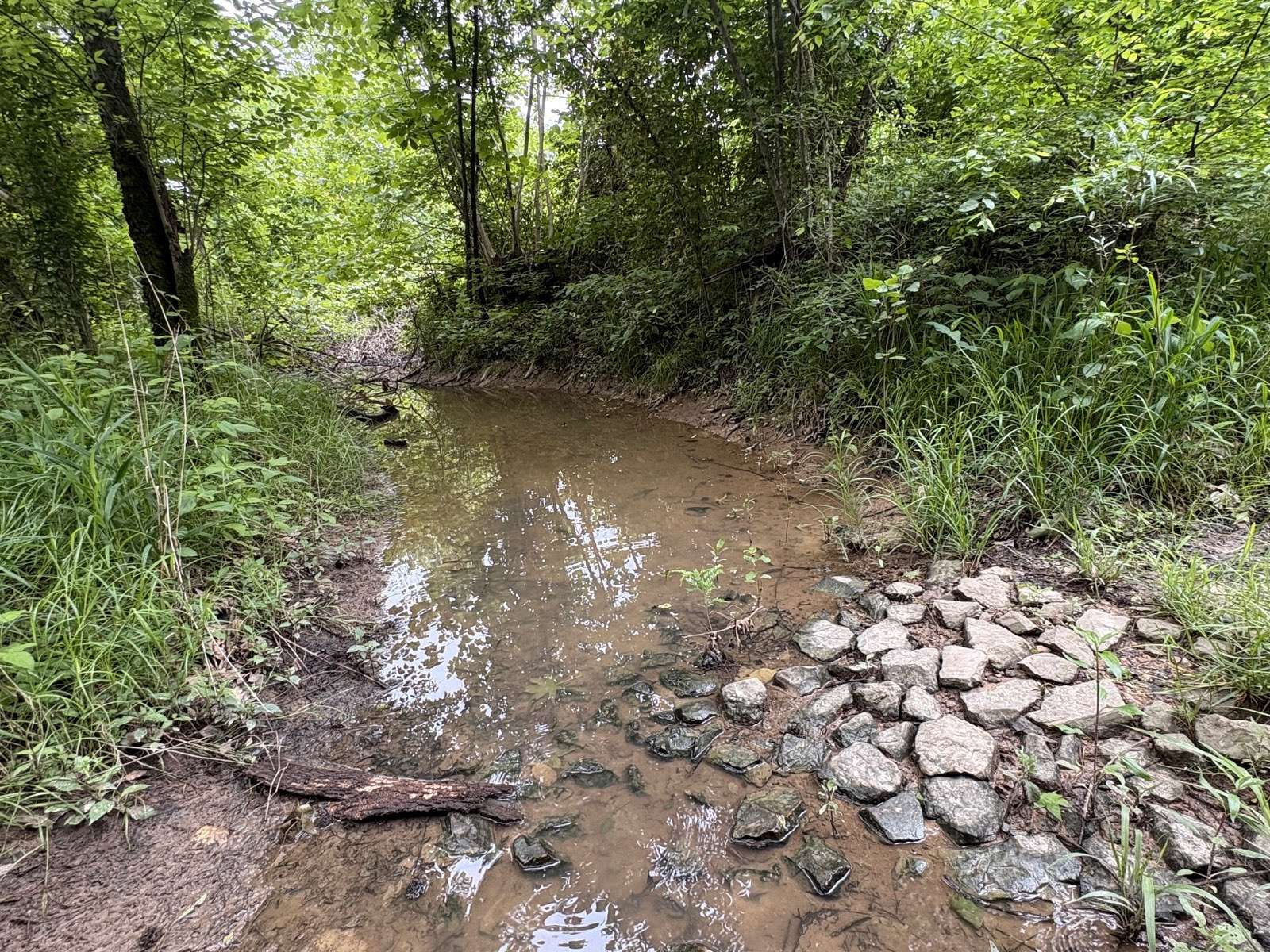 30 Acres of Recreational Land for Sale in Maynard, Arkansas