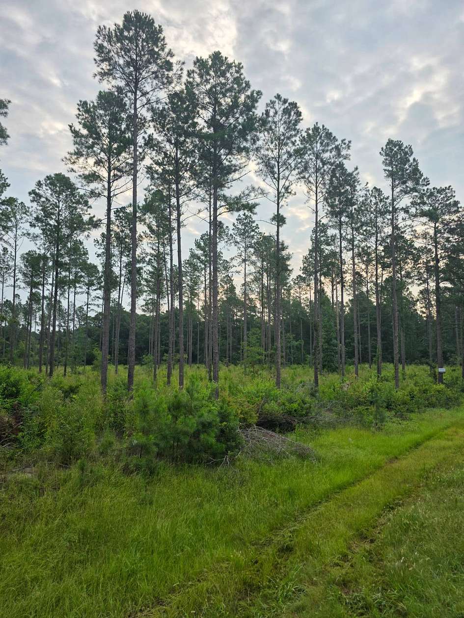 10 Acres of Residential Land for Sale in Sandersville, Georgia