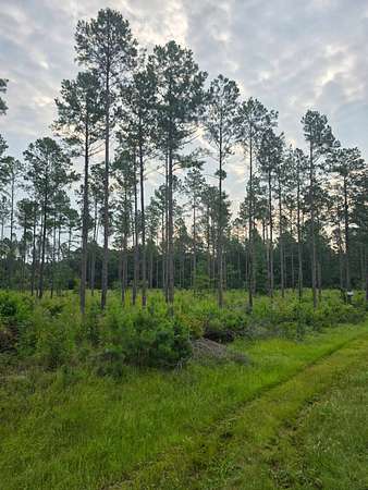 10 Acres of Residential Land for Sale in Sandersville, Georgia