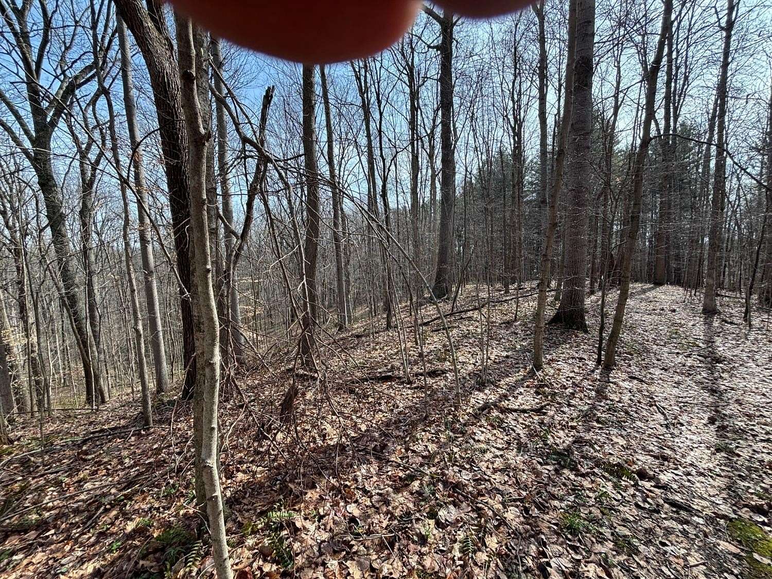 30 Acres of Land for Sale in Laurel, Indiana