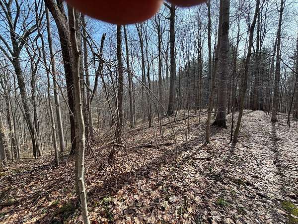 30 Acres of Land for Sale in Laurel, Indiana
