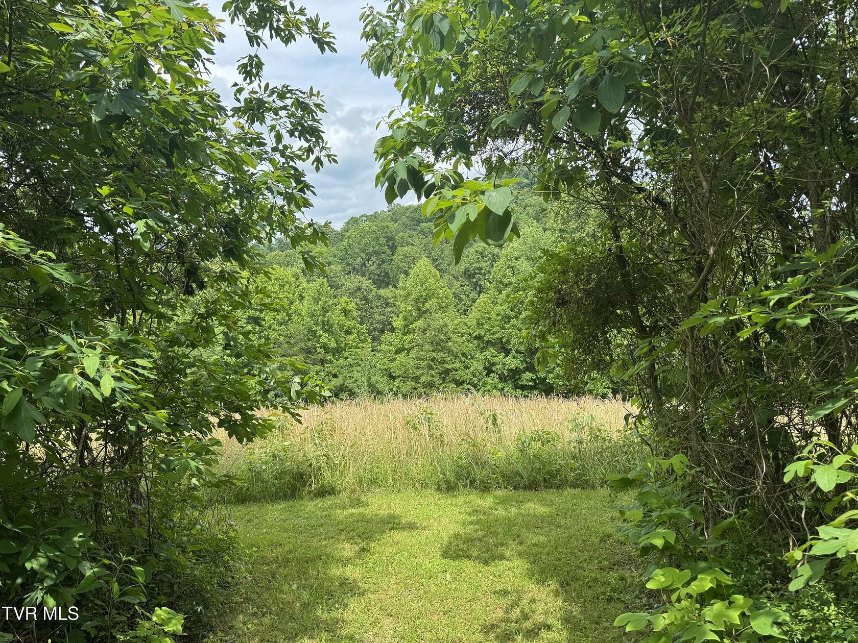 1.74 Acres of Residential Land for Sale in Kingsport, Tennessee