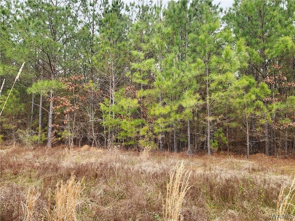 15.7 Acres of Land for Sale in Brookwood, Alabama