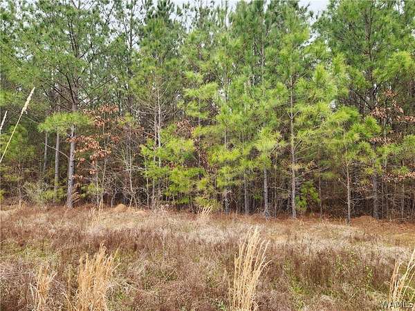 15.7 Acres of Land for Sale in Brookwood, Alabama