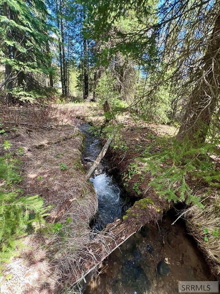 0.49 Acres of Land for Sale in Island Park, Idaho