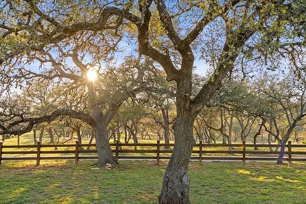120 Acres of Recreational & Residential Land for Sale in Blanco, Texas