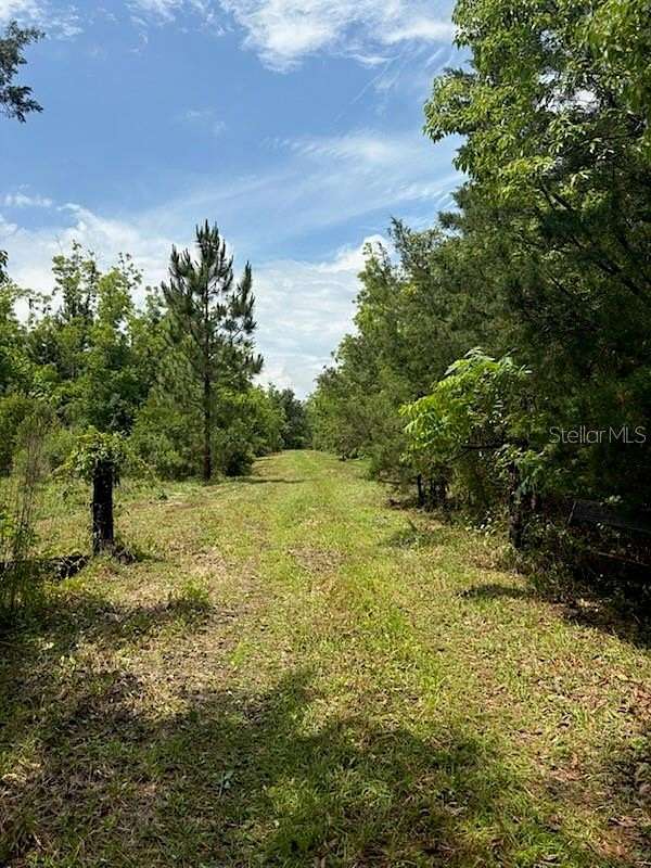 10 Acres of Recreational Land for Sale in Bunnell, Florida