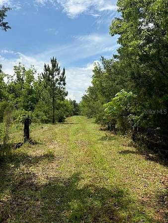 10 Acres of Residential Land for Sale in Bunnell, Florida