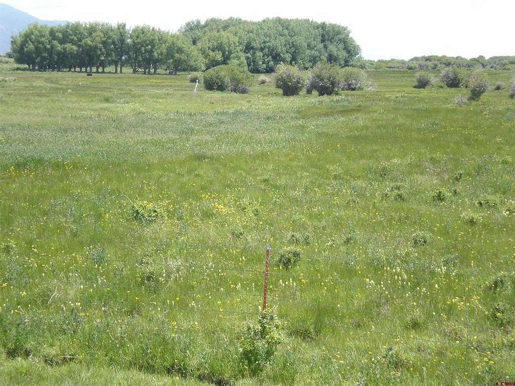 40 Acres of Land for Sale in Saguache, Colorado