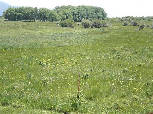 40 Acres of Land for Sale in Saguache, Colorado