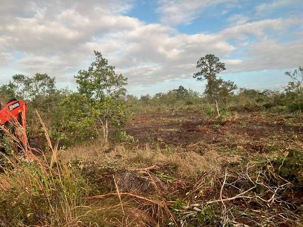 1.16 Acres of Residential Land for Sale in Lake Wales, Florida