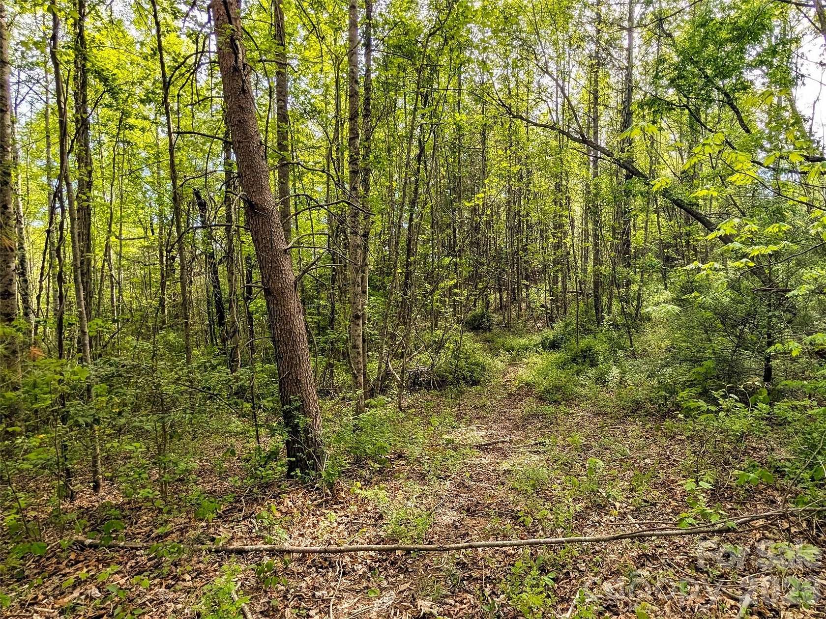 9.6 Acres of Residential Land for Sale in Fairview, North Carolina