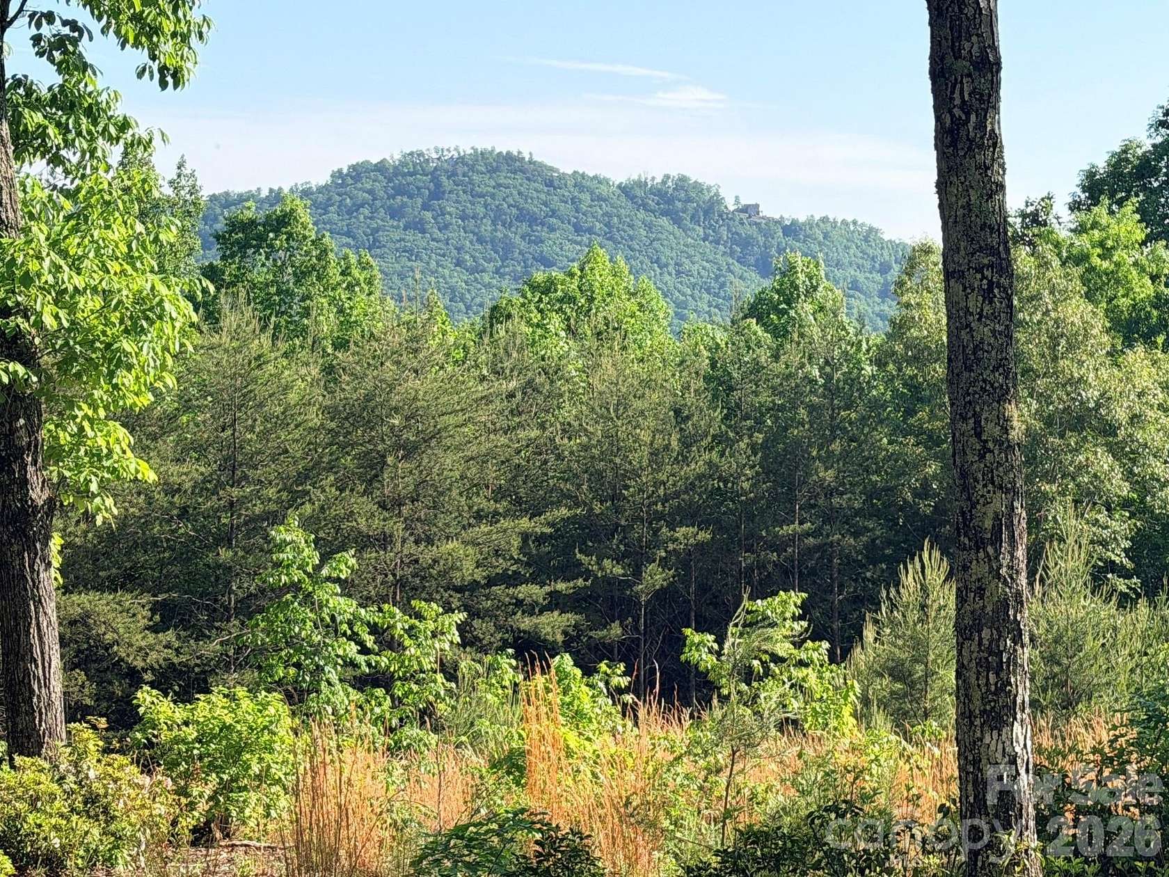 2 Acres of Land for Sale in Lake Lure, North Carolina