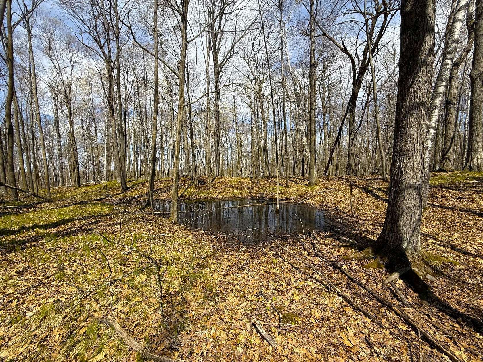 40 Acres of Recreational Land for Sale in Isle, Minnesota