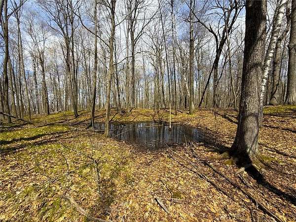 40 Acres of Recreational Land for Sale in Isle, Minnesota