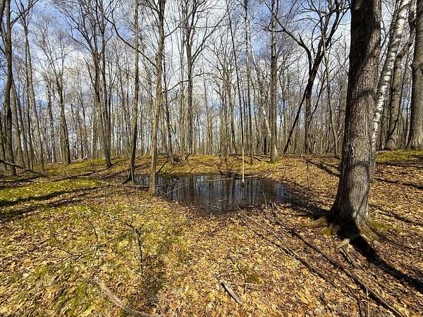 40 Acres of Recreational Land for Sale in Isle, Minnesota