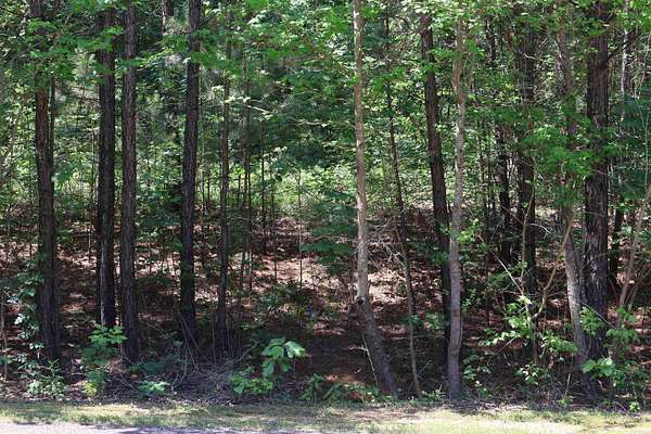 5.56 Acres of Residential Land for Sale in Texarkana, Arkansas