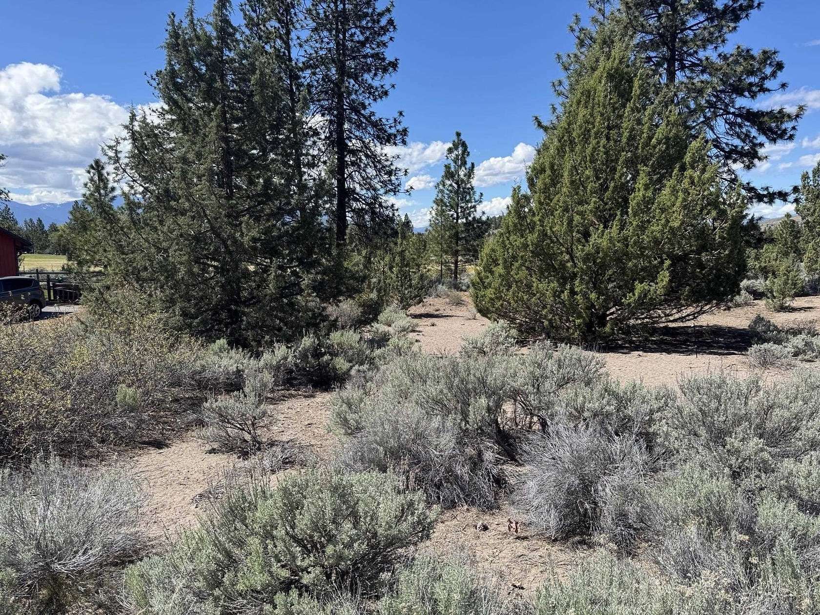 0.24 Acres of Residential Land for Sale in Weed, California