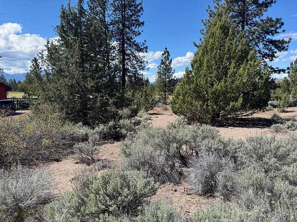 0.24 Acres of Residential Land for Sale in Weed, California