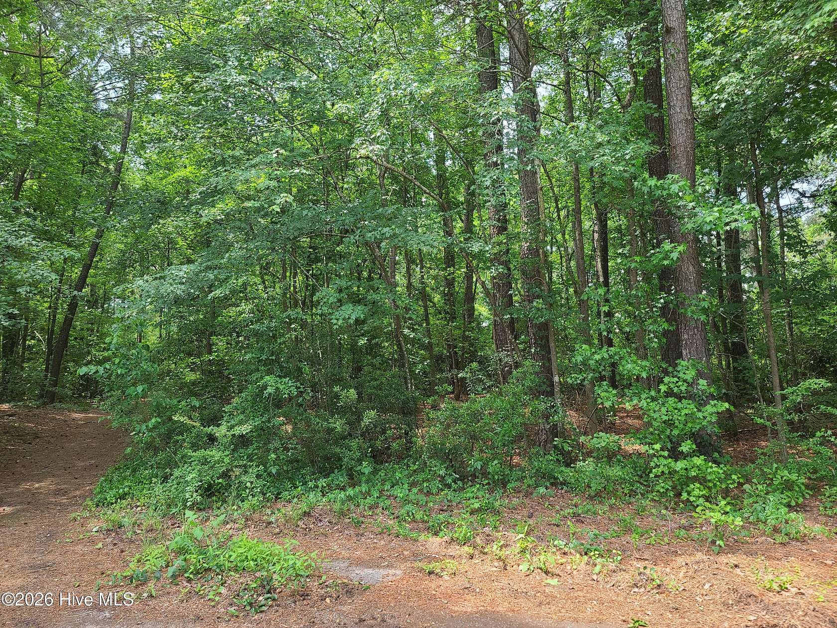 0.67 Acres of Residential Land for Sale in Ayden, North Carolina