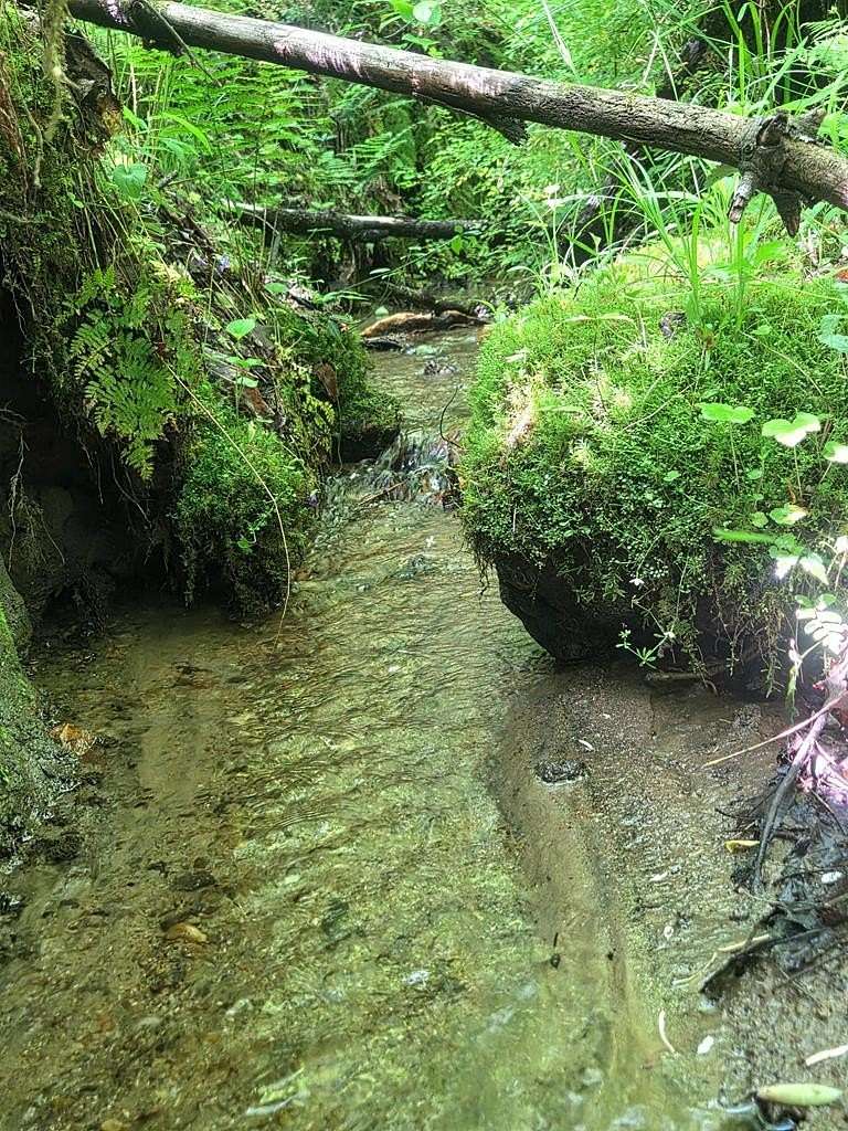 13.5 Acres of Land for Sale in Robbinsville, North Carolina