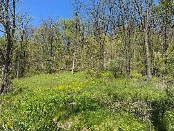 20 Acres of Recreational Land for Sale in Towanda, Pennsylvania