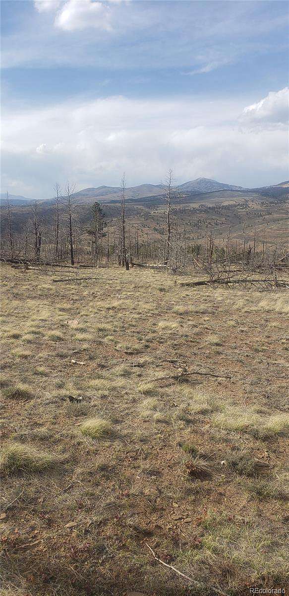 1.24 Acres of Residential Land for Sale in Fort Garland, Colorado